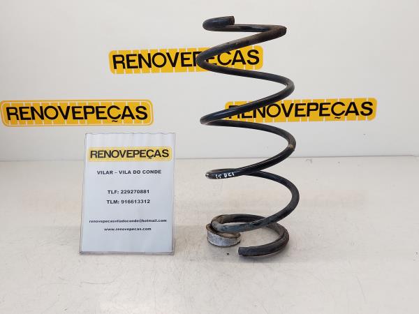 Conjunto molas trás RENAULT Megane II (BM0/1_, CM0/1_)