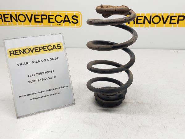 Conjunto molas trás RENAULT Clio III (BR0/1, CR0/1)