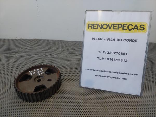 Poli Arvore Cames PEUGEOT 407 (6D_)