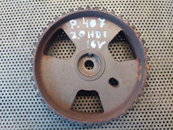 Poli Arvore Cames PEUGEOT 407 (6D_) Imagem-1