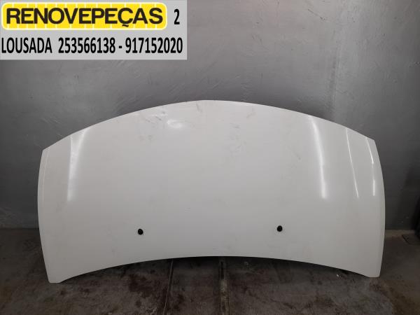 Capot RENAULT Clio III (BR0/1, CR0/1)