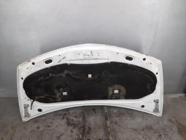 Capot RENAULT Clio III (BR0/1, CR0/1) Imagem-4