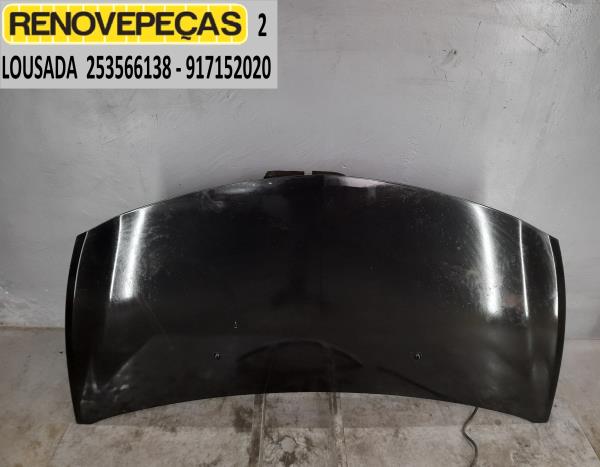 Capot RENAULT Clio III (BR0/1, CR0/1)