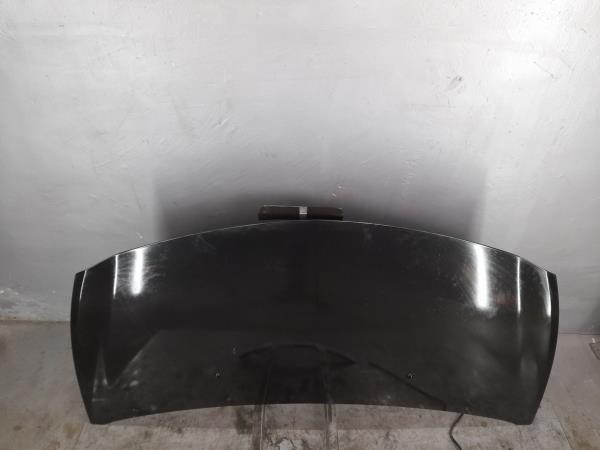 Capot RENAULT Clio III (BR0/1, CR0/1) Imagem-1