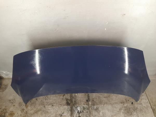 Capot RENAULT Scénic III (JZ0/1_) Imagem-3