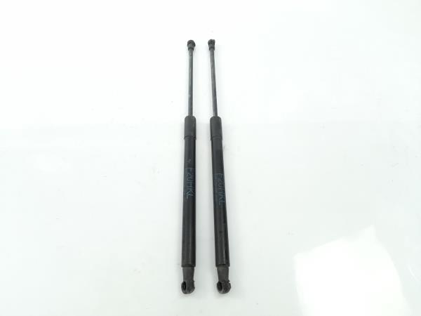 Amortecedor da mala BMW 1 (F20)