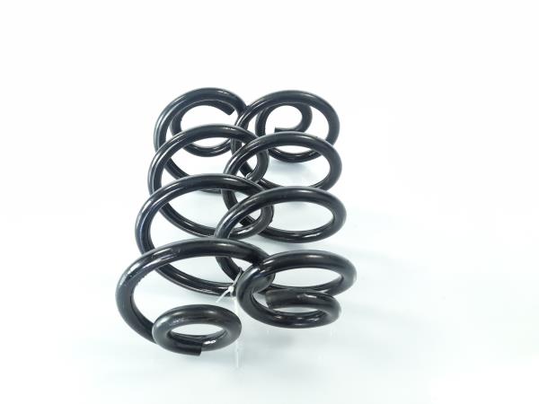 Mola de suspensão trás direita NISSAN Qashqai/Qashqai+2 I (J10, JJ10) Imagem-0