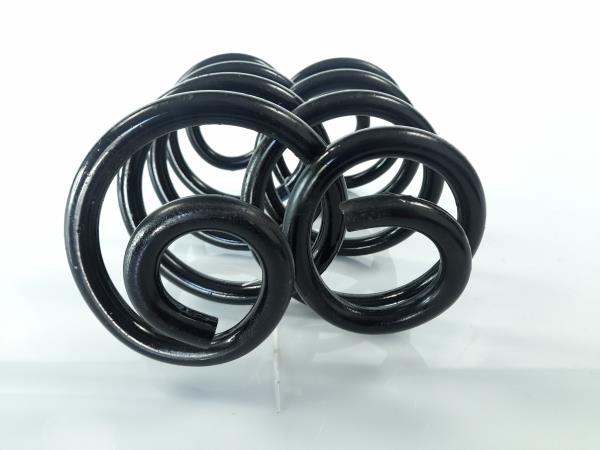 Mola de suspensão trás direita NISSAN Qashqai/Qashqai+2 I (J10, JJ10) Imagem-1