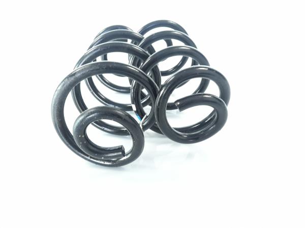 Mola de suspensão trás direita NISSAN Qashqai/Qashqai+2 I (J10, JJ10) Imagem-2