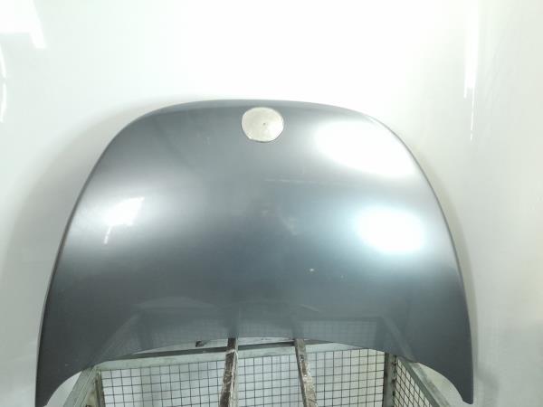 Capot VOLKSWAGEN New Beetle (9C1, 1C1)