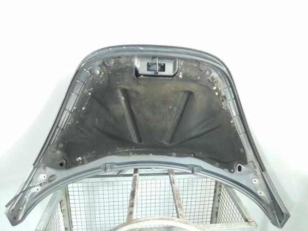 Capot VOLKSWAGEN New Beetle (9C1, 1C1) Imagem-1