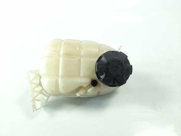 Vaso Expansao / Radiador BMW 1 (F20) Imagem-2