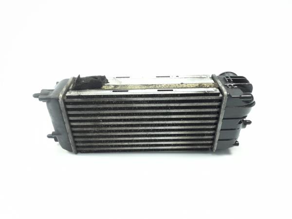 Radiador do intercooler FORD Fiesta VI (CB1, CCN)