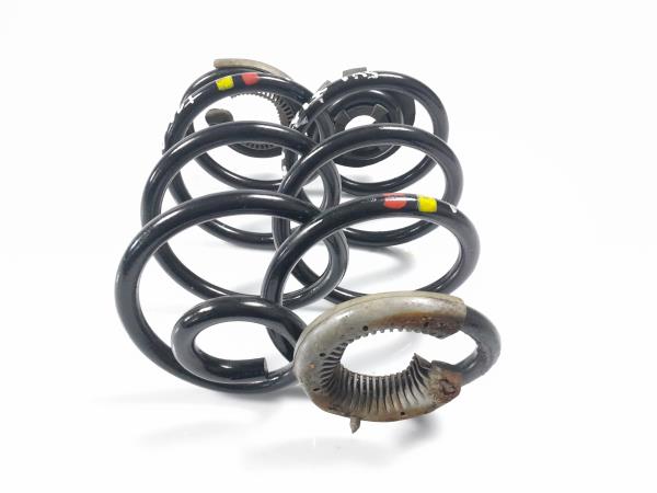 Conjunto molas trás RENAULT Clio III (BR0/1, CR0/1)