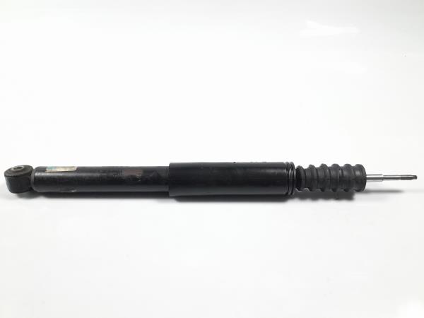 Conjunto amortecedores trás RENAULT Clio III (BR0/1, CR0/1)