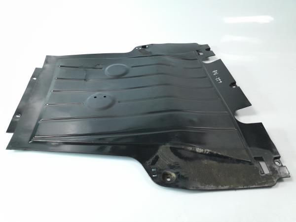 Resguardo Termoventilador RENAULT Clio III (BR0/1, CR0/1) Imagem-1