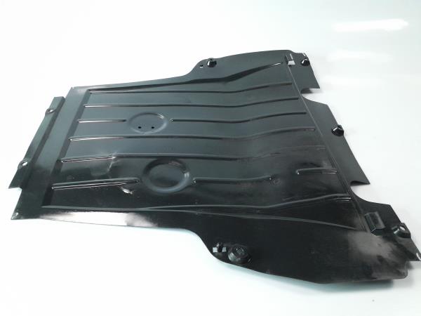 Resguardo Termoventilador RENAULT Clio III (BR0/1, CR0/1)