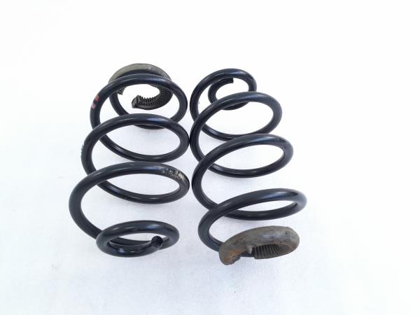 Conjunto molas trás RENAULT Clio III (BR0/1, CR0/1)