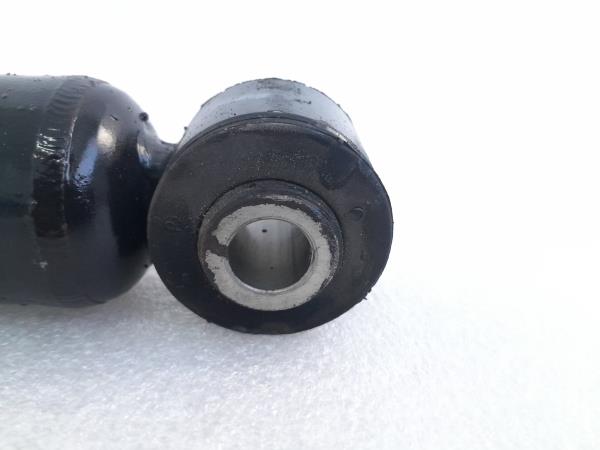 Conjunto amortecedores trás RENAULT Clio III (BR0/1, CR0/1) Imagem-1