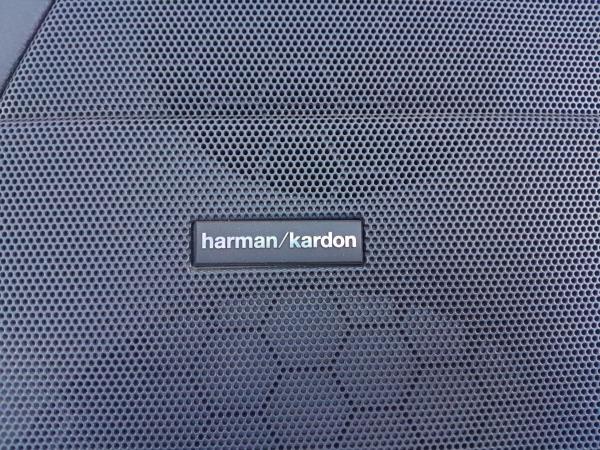 Rivestimento porta anteriore sinistra LAND ROVER Range Rover Sport (L320) Imagem-1