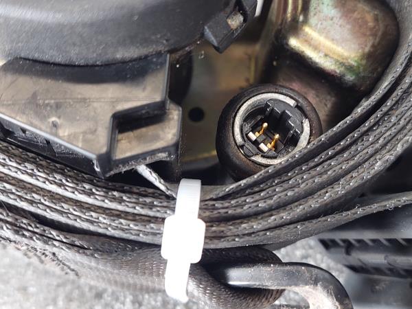 Right rear seatbelt RENAULT Megane II (BM0/1_, CM0/1_) Imagem-3