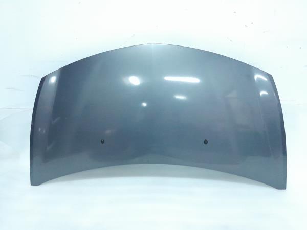 Capot RENAULT Clio III Grandtour (KR0/1_)