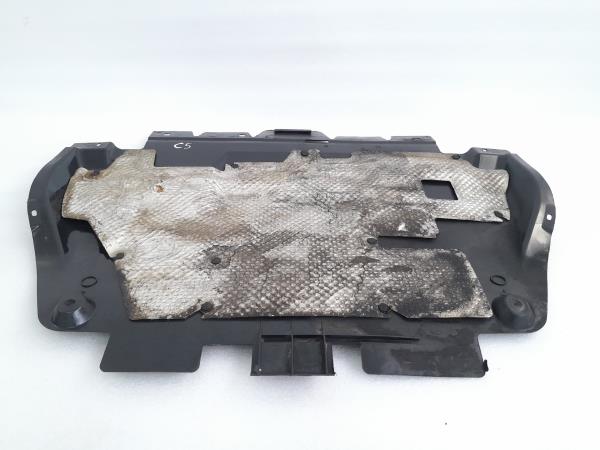 Resguardo Termoventilador CITROËN C5 III Break (RW_) Imagem-1