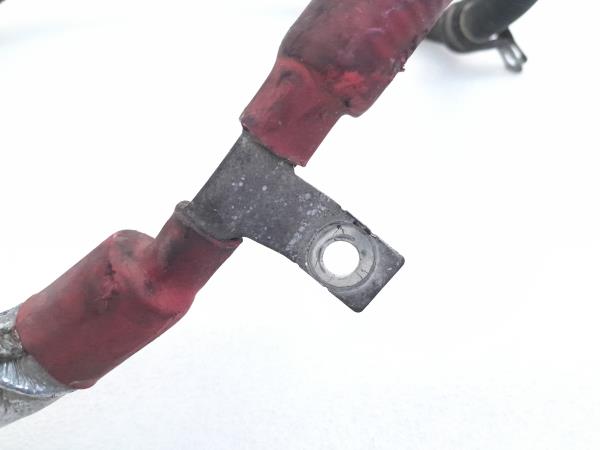 Cablaggio interno LAND ROVER Range Rover Sport (L320) Imagem-3