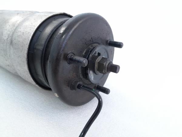 Ammortizzatore Anteriore Destro LAND ROVER Range Rover Sport (L320) Imagem-2