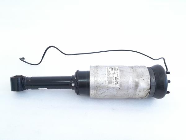Ammortizzatore Anteriore Destro LAND ROVER Range Rover Sport (L320) Imagem-5