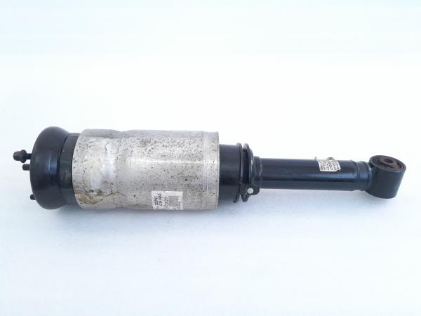 Ammortizzatore Anteriore Sinistro LAND ROVER Range Rover Sport (L320)