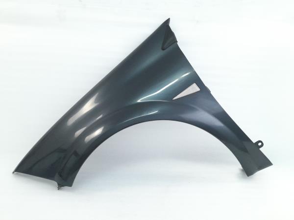 Guarda-lamas esquerdo RENAULT Megane II Break (KM0/1_)