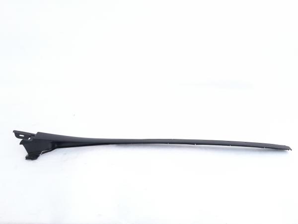 Friso / Frisos RENAULT Clio III (BR0/1, CR0/1)