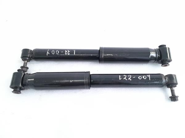 Conjunto amortecedores trás RENAULT Megane II (BM0/1_, CM0/1_)