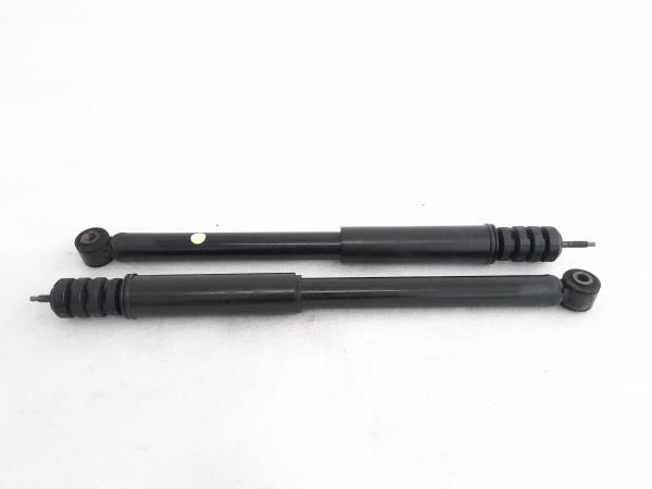 Conjunto amortecedores trás RENAULT Clio III (BR0/1, CR0/1)