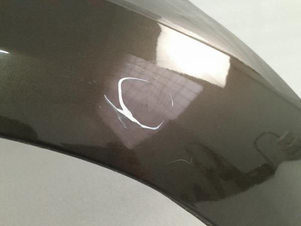 Guarda-lamas direito CITROËN C4 II (B7) Imagem-3