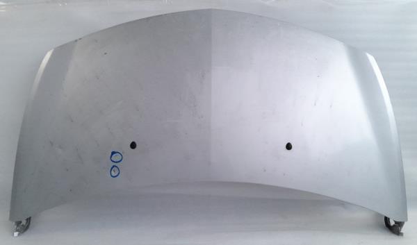 Capot RENAULT Megane II (BM0/1_, CM0/1_)