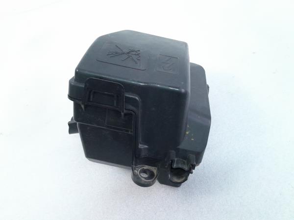 Plástico genérico DACIA Sandero II (5S_) Imagem-1