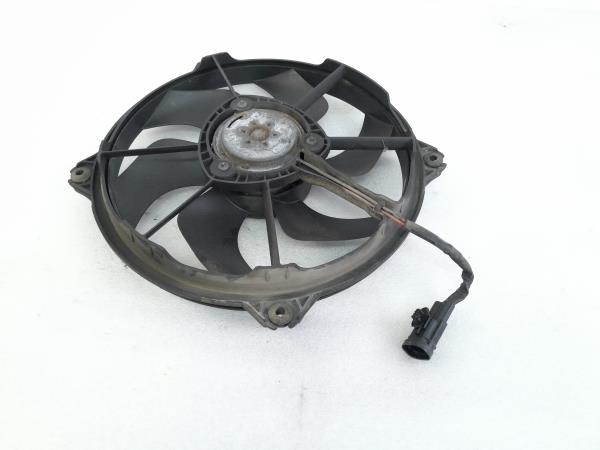 Termoventilador / motoventilador CITROËN C4 Picasso I (UD_)