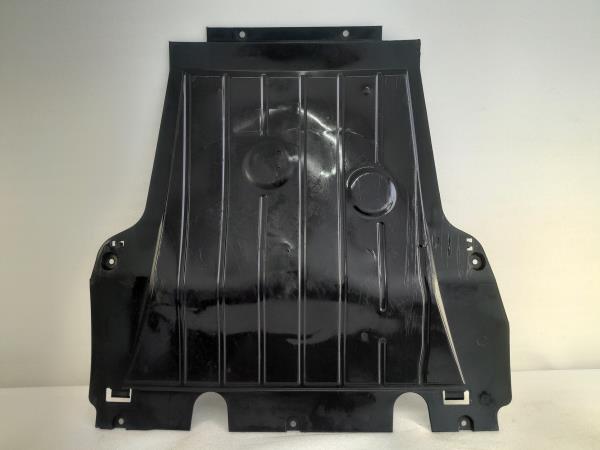 Resguardo Termoventilador RENAULT Clio III (BR0/1, CR0/1)