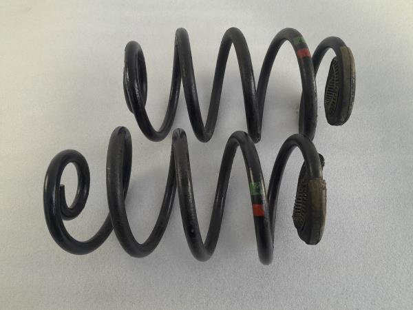 Conjunto molas trás RENAULT Clio III (BR0/1, CR0/1)