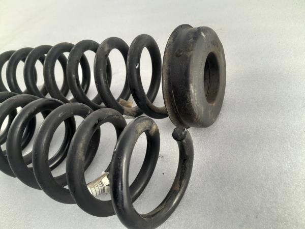 Molla sospensione posteriore destra BMW 1 (F20) Imagem-1