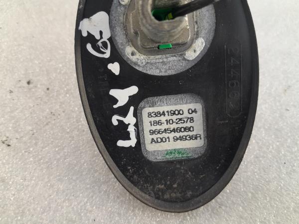 Antena CITROËN C5 III Break (RW_) Imagem-4