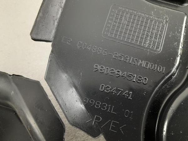 Plástico genérico CITROËN C3 Picasso (SH_) Imagem-2