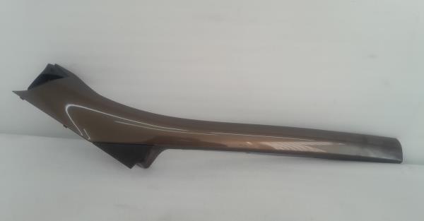 Friso / Frisos RENAULT Scénic III (JZ0/1_)
