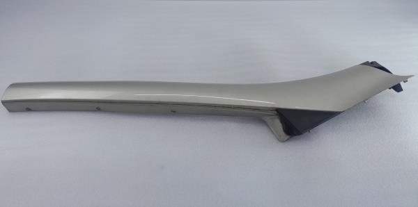 Friso / Frisos RENAULT Scénic III (JZ0/1_)