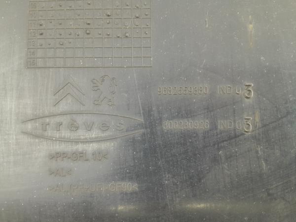 Resguardo Termoventilador CITROËN C3 II (SC_) Imagem-3