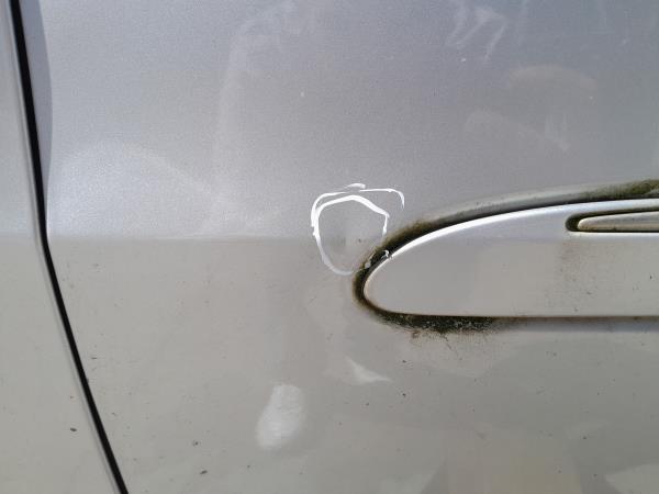 Porta frente esquerda MERCEDES-BENZ Classe R (W251, V251) Imagem-1