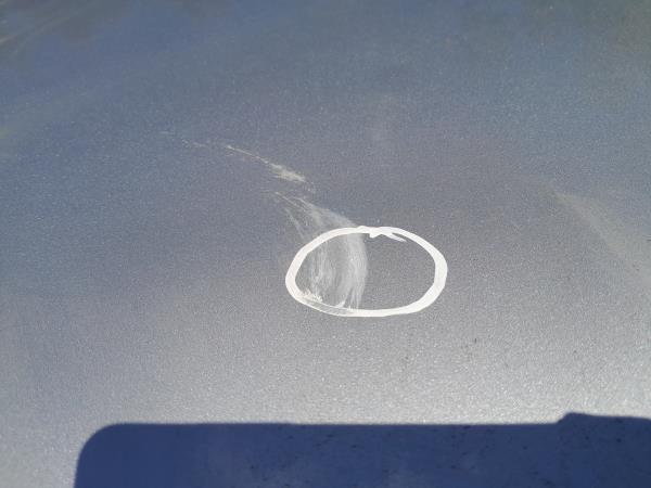 Capot MERCEDES-BENZ Classe R (W251, V251) Imagem-1