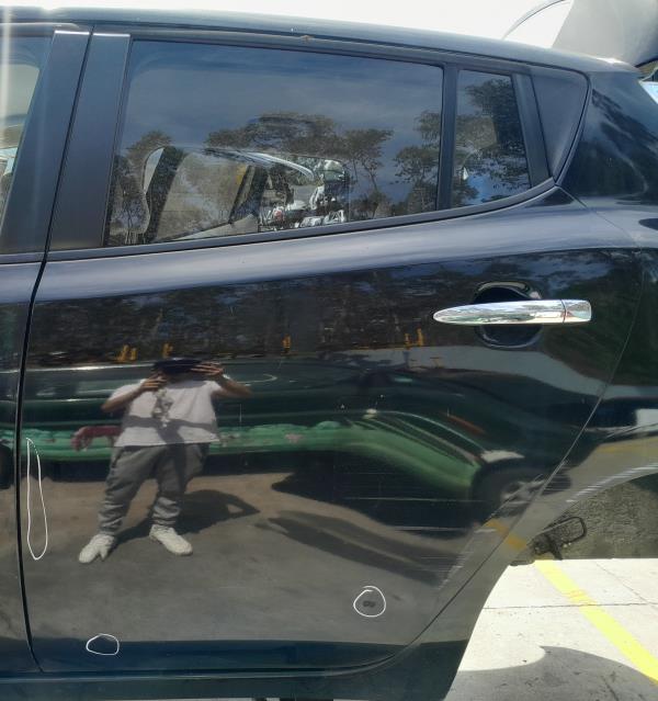 Porta trás esquerda NISSAN Leaf EV (ZE0)